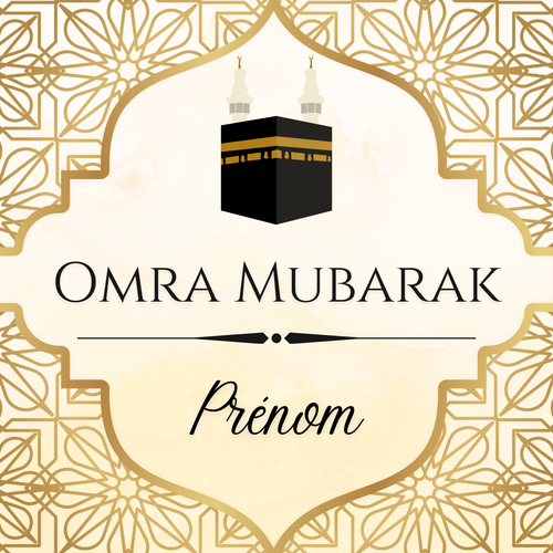 10 Boîtes transparente