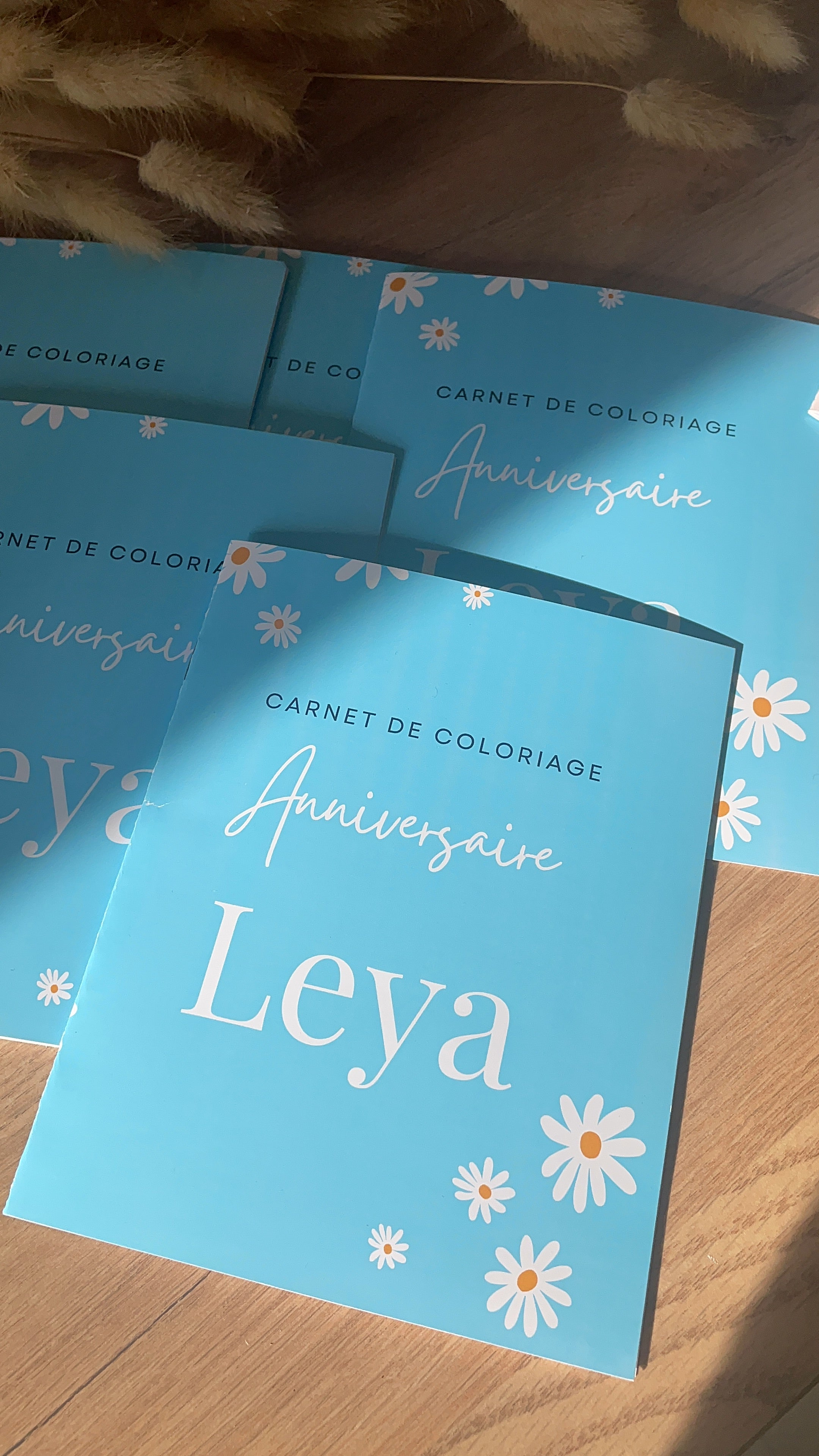 5 Cahiers de coloriage